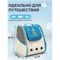 Рюкзак для переноски кошек и собак, прозрачный, 32×28×38 см, бело-синий