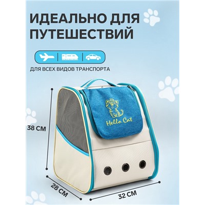 Рюкзак для переноски кошек и собак, прозрачный, 32×28×38 см, бело-синий