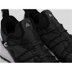 Кроссовки Nike ACG Mountain Fly Low