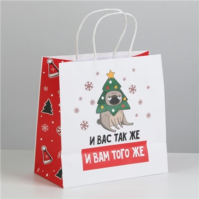 Пакет подарочный новогодний «А вас также», 22×22×11 см