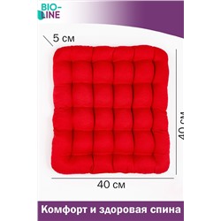 Подушка для мебели Bio-Line с гречневой лузгой PSG25 НАТАЛИ, 879652
