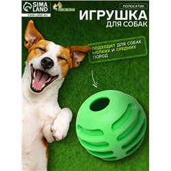 Мяч рифленый «Полосатик», TPR, 6 см, зелёный