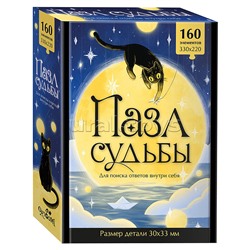 Пазл судьбы. VI.