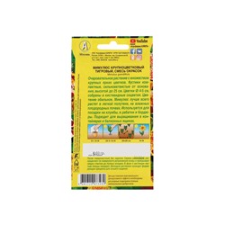 Набор семян Мимулюс "Крупноцветковый тигровый", смесь окрасок, О, 5 шт.