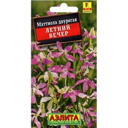 Маттиола Летний Вечер Аэлита