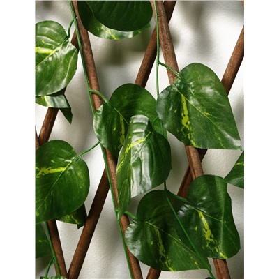 Ограждение декоративное «Лист берёзы», 120×70 см, Greengo