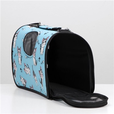 Сумка - переноска для животных «Играющие котики», размер M, 40×21×27 см голубая