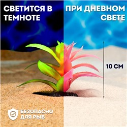 Растение для аквариума и террариума, светящееся, 10 см, красное