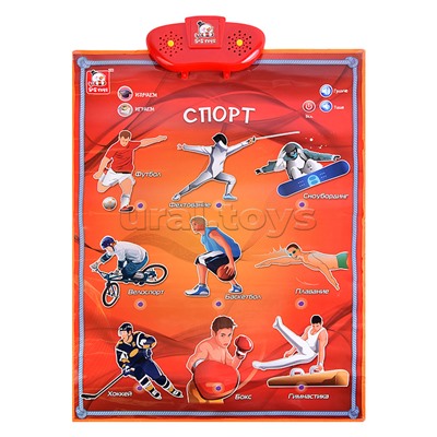 Эл. звуковой плакат, в ассортименте,  коробке