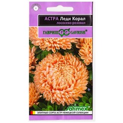 Астра Леди Коралл Лососево-розовая (Код: 78626)