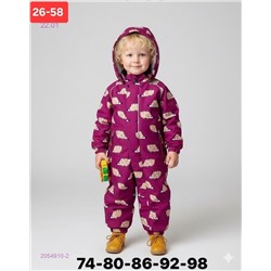 комбинезон весна 2054910-2