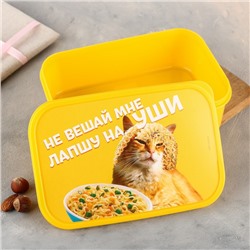 Ланч - бокс прямоугольный «Не вешай лапшу на уши», 1200 мл