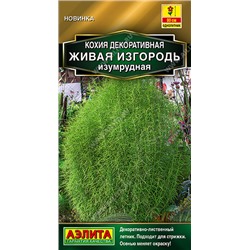 Кохия Живая изгородь изумрудная (Код: 93564)