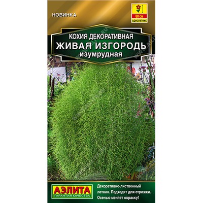 Кохия Живая изгородь изумрудная (Код: 93564)