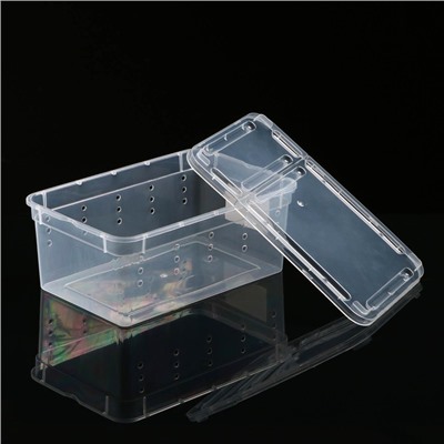 Переноска - отсадник для рептилий, 19×12.5×7.5 см