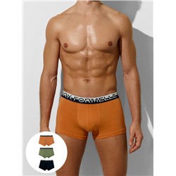 ТРУСЫ МУЖСКИЕ (3ШТ) 411124-3