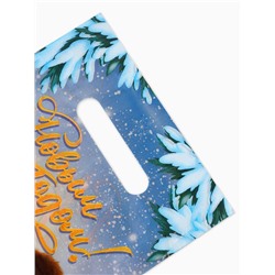 Подарочные пакеты, полиэтилен, набор 10 шт «Новый год», Чебурашка, 20 х 30 см