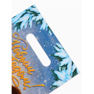 Подарочные пакеты, полиэтилен, набор 10 шт «Новый год», Чебурашка, 20 х 30 см