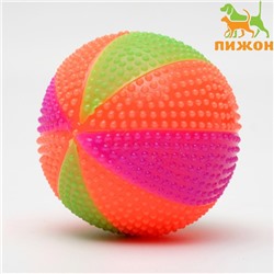 Мячик светящийся для собак «Цирковой», TPR, 6.5 см, микс цветов