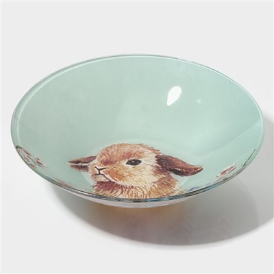 Салатник Доляна «Кролик», 1 л, 22×5 см, стекло