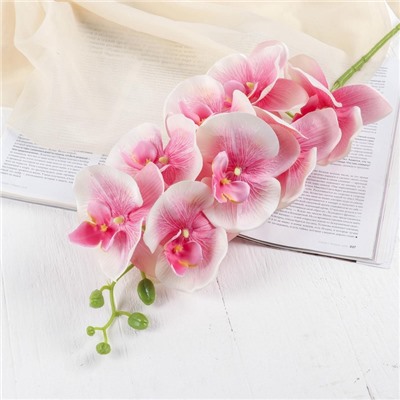Цветы искусственные «Орхидея Изящная», 10×100 см, розовые