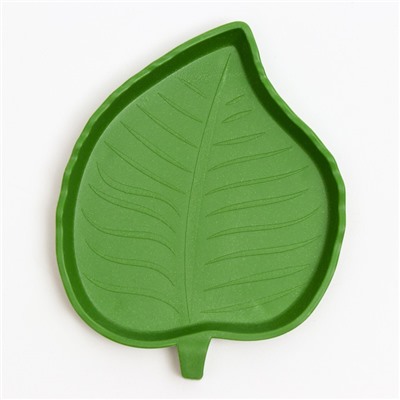 Кормушка для террариума, 12×9.5×1.35 см