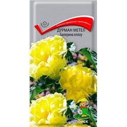 Дурман метел Балерина Еллоу (П)