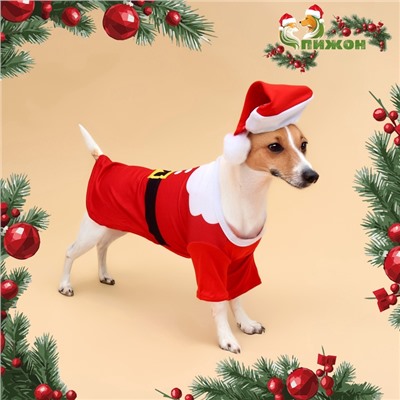 Толстовка для собак с колпаком Santa, S (ДС 25, ОГ 35 см)