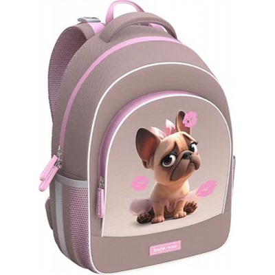 Рюкзак школьный "ErgoLine.Frenchie" 15L 39х28х14 см 64881 ErichKrause