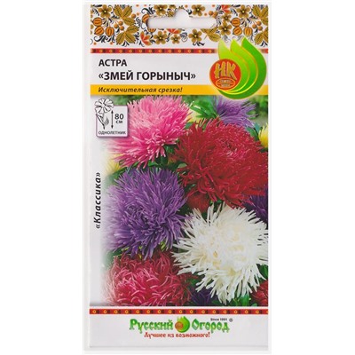 Астра Змей Горыныч  (Код: 4353)