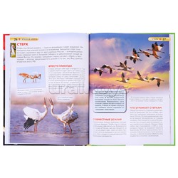 Красная книга. Детская энциклопедия