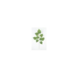 Искусственные цветы, Ветка кустовая яблоня(1010237) зеленый