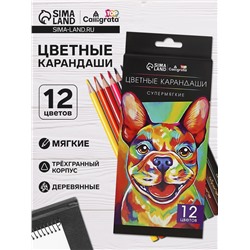 Карандаши Calligrata, 12 цветов, супермягкие, диаметр грифеля 3 мм