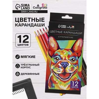 Карандаши Calligrata, 12 цветов, супермягкие, диаметр грифеля 3 мм