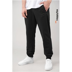 Мужские брюки из футера двухнитки Happyfox