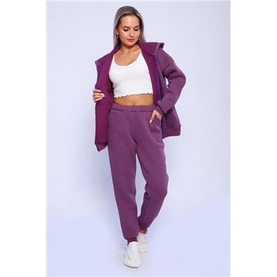 688 Костюм с начесом ZIP (Ежевичный)