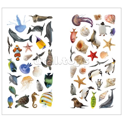 Фотонаклейки. В море