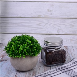 7397 Банка CANDY 8 с крышкой ёмк 340 мл (х36)