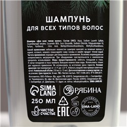 Подарочный набор новогодний «Будь лучшим»: гель для душа и шампунь для волос, 2×250 мл, Чистое счастье