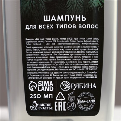 Подарочный набор новогодний «Будь лучшим»: гель для душа и шампунь для волос, 2×250 мл, Чистое счастье