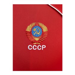 Костюм (Толстовка+Брюки) ADDIC-SPORT, 1094369