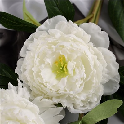 Цветы искусственные «Пион Беверли люкс», h=60 см, белые