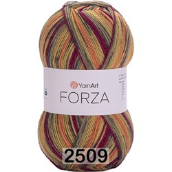 Пряжа YarnArt Forza