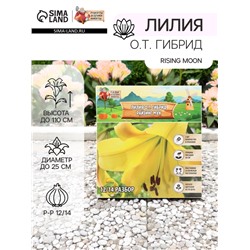 Лилия О.Т. Гибрид Rising Moon, луковица в пакете с перфорацией, р-р 12/14, 2 шт.