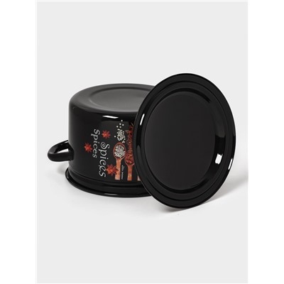 Кастрюля эмалированная «Карри», 4 л, d=21.3 см, с крышкой, цилиндрическая, чёрная