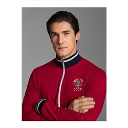 Костюм (Толстовка+Брюки) ADDIC-SPORT, 1093356