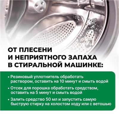 Удалитель плесени Prosept Fungi Clean, концентрат, 1 л