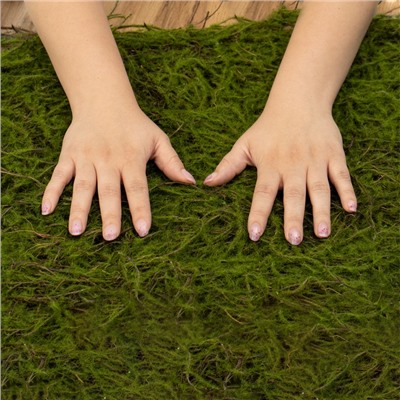 Декоративная панель, 90×40 см, «Мох», Greengo