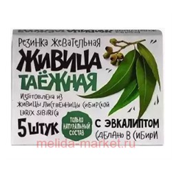 Живица Алтайская жевательная резинка с эвкалиптом №5