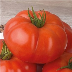 5172D Томат Армада F1 5шт